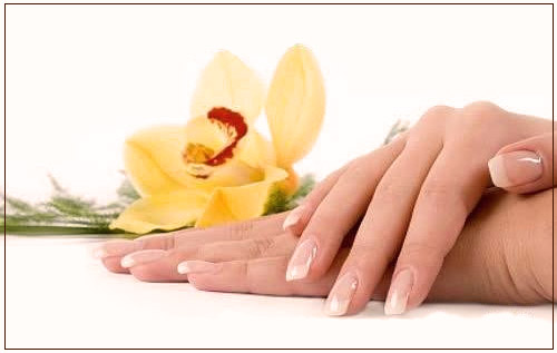 BIO SCULPTURE GEL